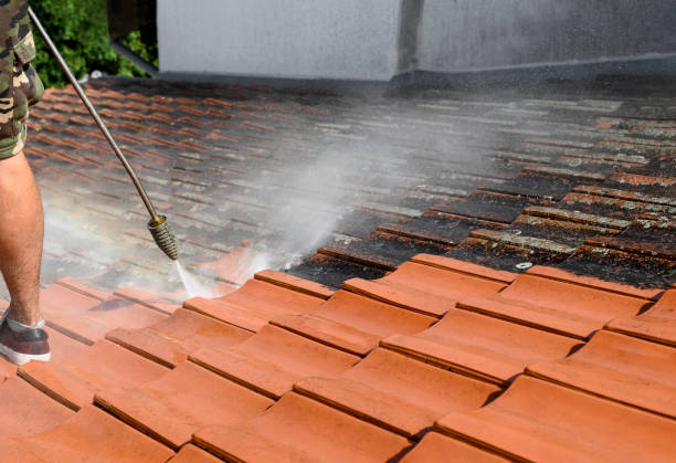 Best Pressure Washing Estimates  in Jasper, FL